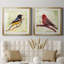 «Backyard Birds I», ensemble de 2 cadres photo-863639450-863639440