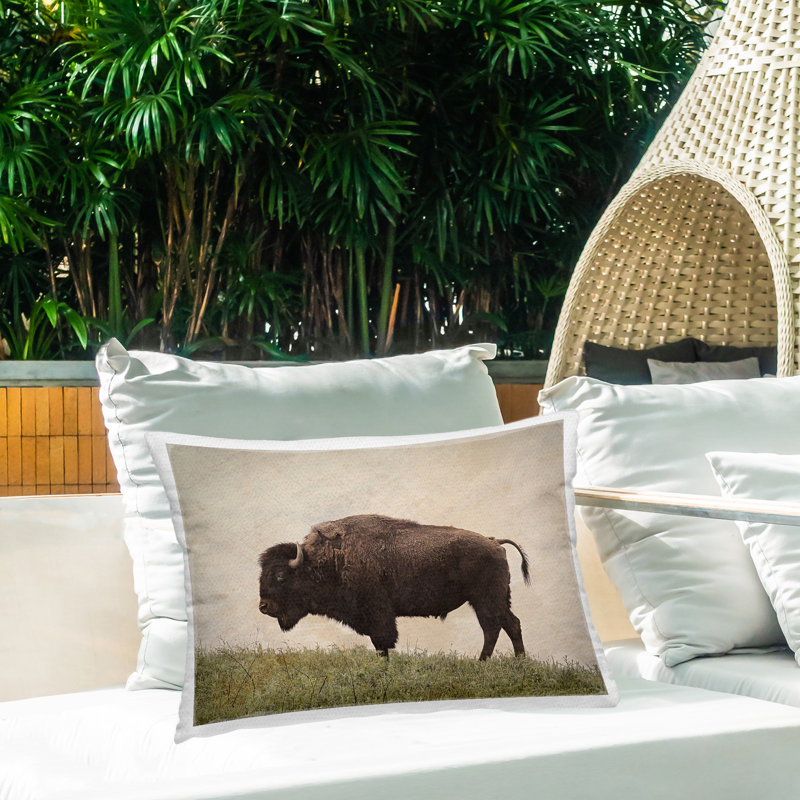 Coussin d'extérieur Serene Buffalo on Country Hill Design par Steve Toole