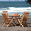 Nugent Solid Wood Dining Chair