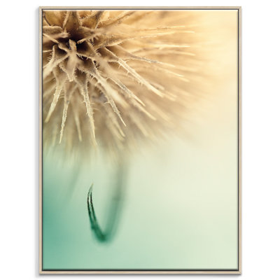 Print on Canvas