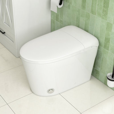 Toilette allongée blanche en céramique blanche avec pompe à eau intégrée et chasse à bouton-poussoir