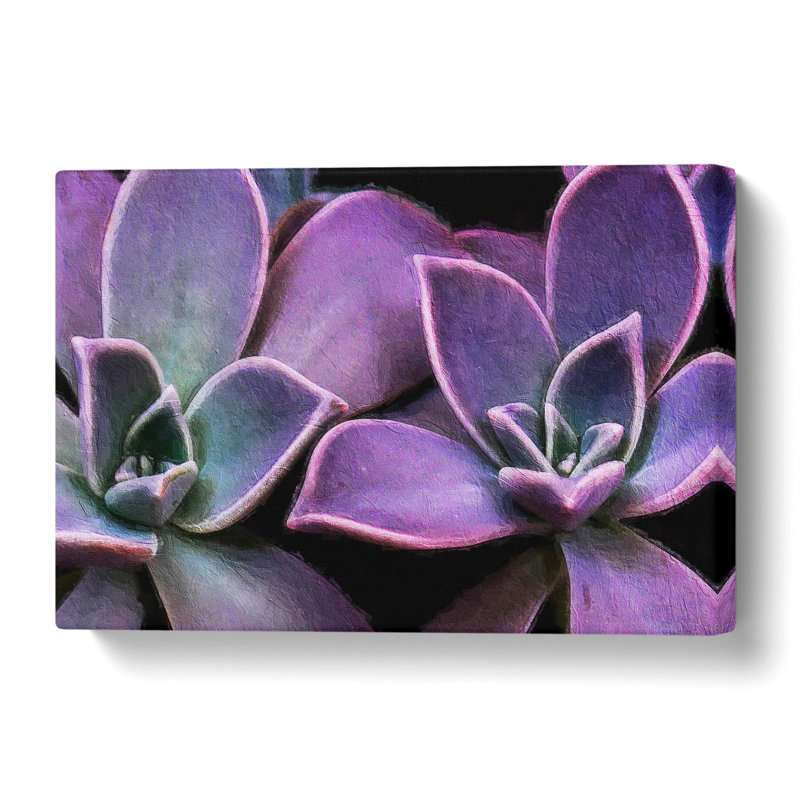 Lilac & Green Succulent Plant - Wrapped Canvas Painting, 50.8 cm H x 76.2 cm W