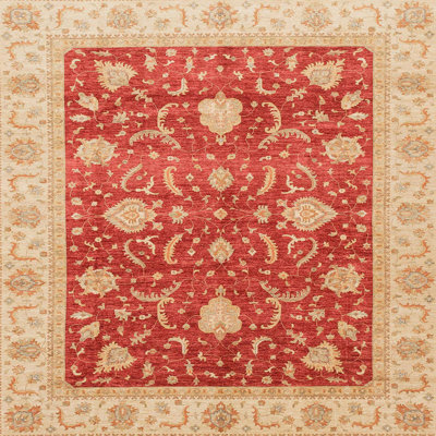 Adamsiii Abstract Indoor Rug