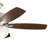 52'' Ceiling Fan with Light Kit-2014906637