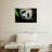Panda Surprise-1004256816