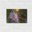 «Floral Color Theory» par AKG-1742138399