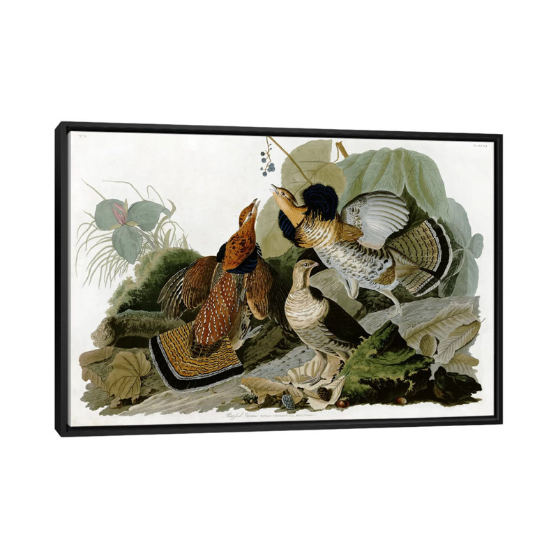 «Ruffed Grouse» par John James Audubon, impression sur toile, H 18 po x l 26 po x P 1,5 po, Toile avec cadre noir