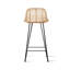 Broomall Counter Stool with Metal Frame