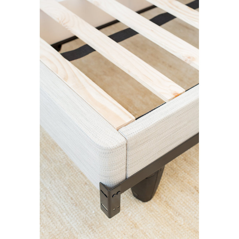 Avocado Foundation, Queen