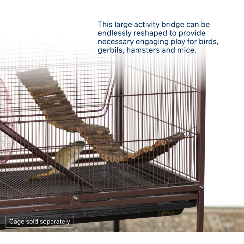 One-of-a-Kind 0.25'' Wood Bird Perch for Inside Cage
