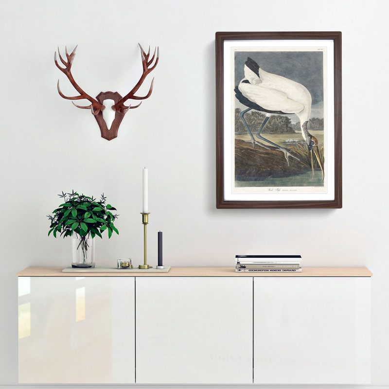 Wood Stork by John James Audubon - Picture Frame Painting Print, 65cm H x 48cm W x 2cm D, Walnut Framed