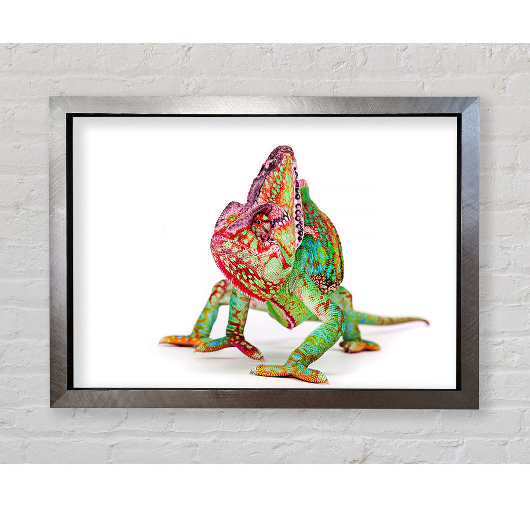 Chameleon Walk Gerahmter Druck