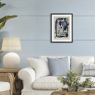 Scientific Marine Life Chart Framed Print Under Glass, design by Alicia Longley
