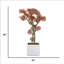 Plante à bonsaï 50 "H-touch-97779129
