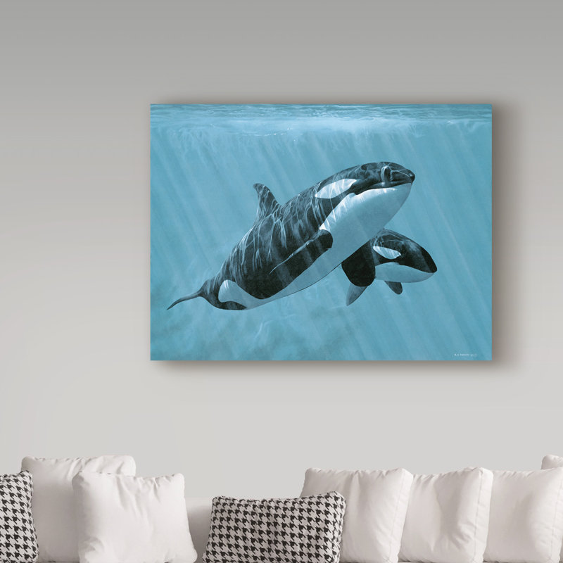 «Mother And Son Orcas» par Etelca, impression sur toile tendue, H 14 po x l 19 po x P 2 po