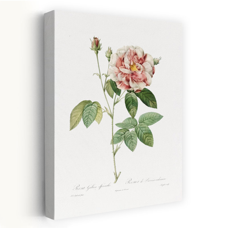 Rosa Gallica, art abstrait rétro rétro avec paysage floral, H 24 po x l 16 po