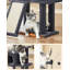 Colter 118.1cm H Cat Tree-1417057529