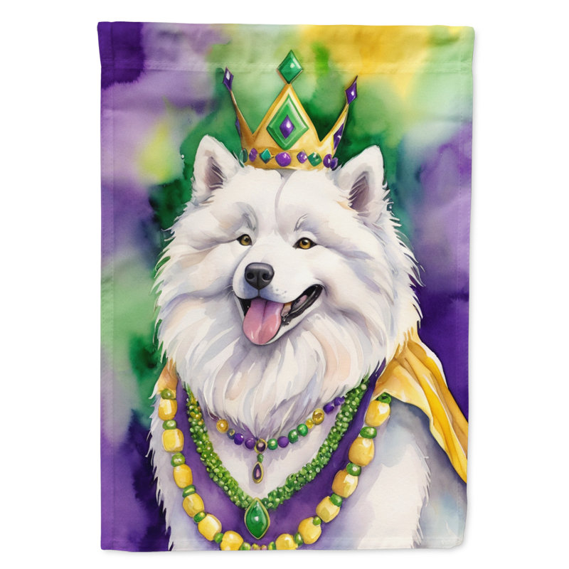 Double Sided 40'' H x 28'' W Polyester Mardi Gras House Flag
