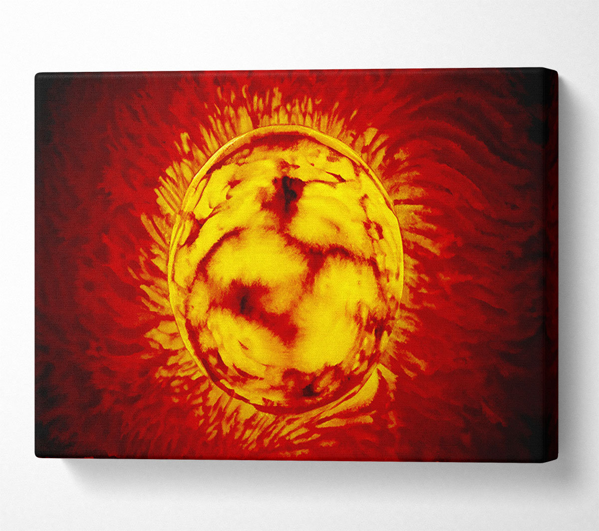 Ebern Designs Sun Worshiper - Wrapped Canvas Art Prints | Wayfair.co.uk