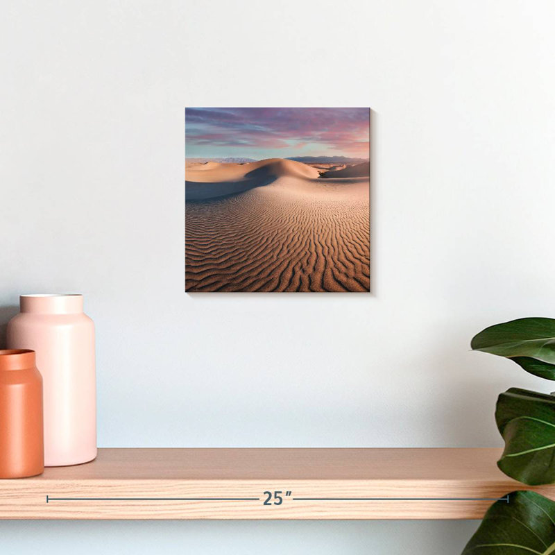 Alvord Mesquite Flat Dunes