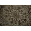 Tapis turc élégant et vieilli 6 x 10