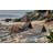 SUNJOY Portable Beach Mat with Adjustable Backrest for Adults (Set of 2) - -112535395