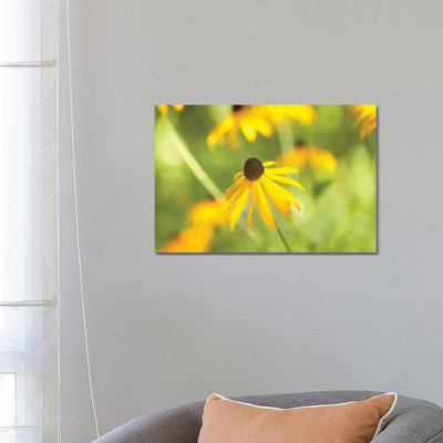 Susan Study I by James McLoughlin - Wrapped Canvas Print