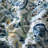 No Paisley Quilt-2146865292-2138999552