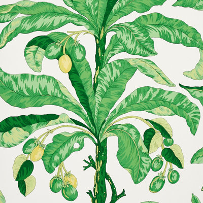 Papier peint Blair House Palm