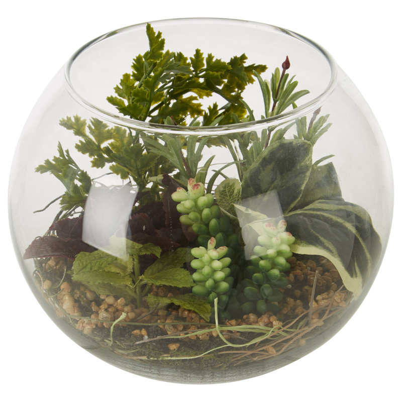 15cm Faux Foliage Plant in Glass Terrarium