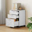 Solid Wood Filing Cabinet-1731483730
