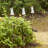 Low Voltage Solar Powered LED Pathway Light Pack