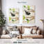 Brampt oiseaux au printemps III-108370973