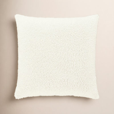 Everett 20" x 20" Throw Pillow