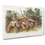 Two Cougars by J.W. Audubon - Wrapped Canvas-55361282
