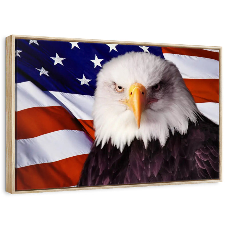 Drapeau américain, aigle à tête blanche, Cadre flottant en bois naturel, 46 po x 31 po