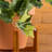Fabric Ivy Arrangement