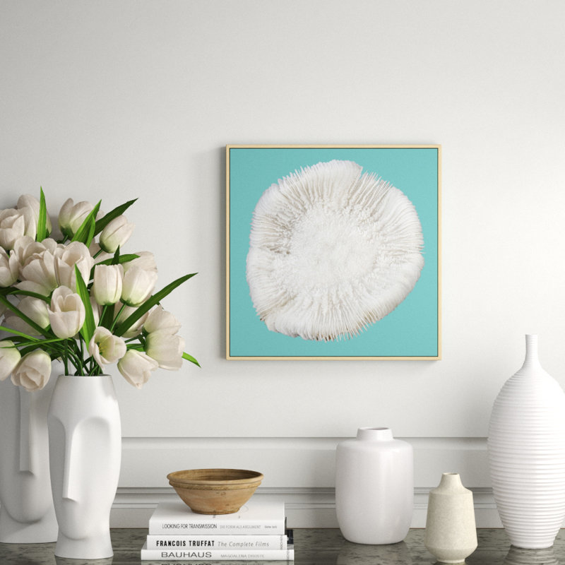 Coral Aqua 4' Framed Photographic Print