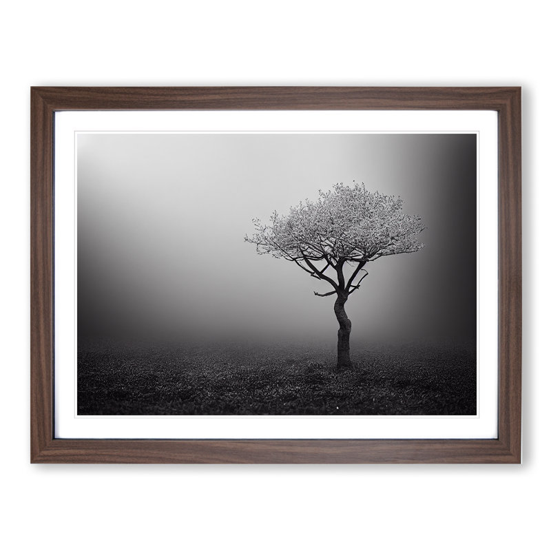 Lonely Tree - Single Picture Frame Print, 46cm H x 64cm W x 2cm D, Walnut