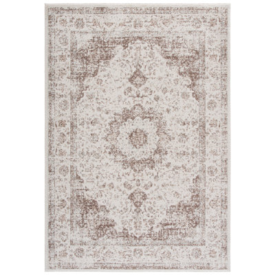 Evoke 220 Performance Oriental Rug