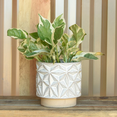 Winkler Starburst Stoneware Pot Planter