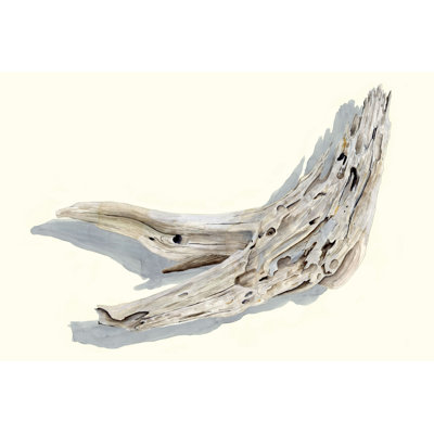 " Driftwood Study III "
