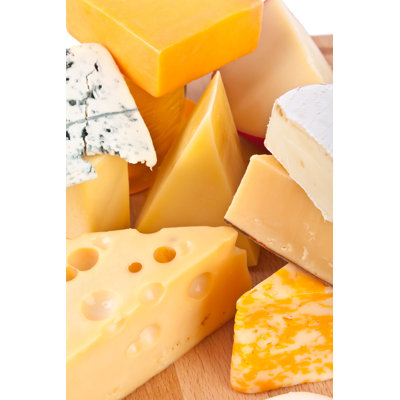 Types Of Cheese by Olgna - Wrapped Canvas Print