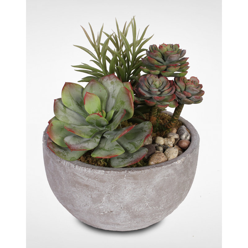 Faux Succulent in Stone Pot
