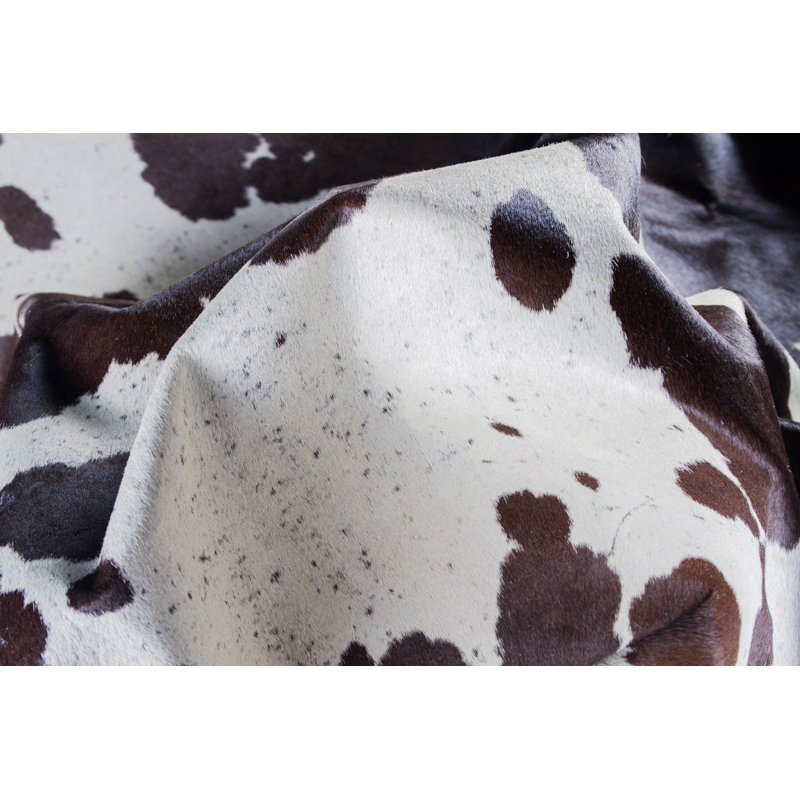 Tapis en laine Novelty 5 pi x 7 pi Shawnett