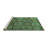 Washable Oriental Indoor Rug-497781786
