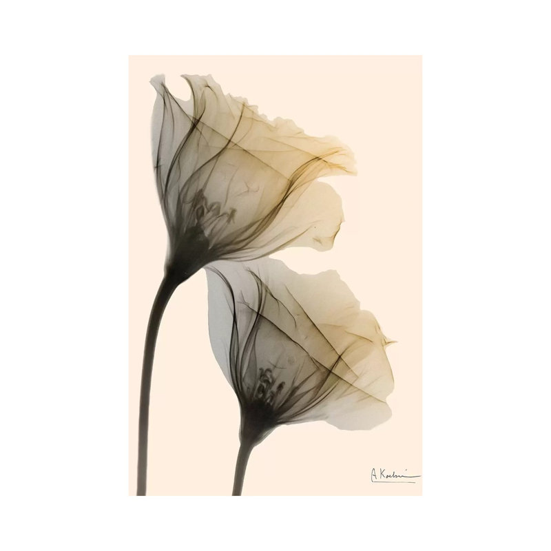 Neutral Lovers I by Albert Koetsier - Wrapped Canvas Print, 20.32 cm H x 30.48 cm W