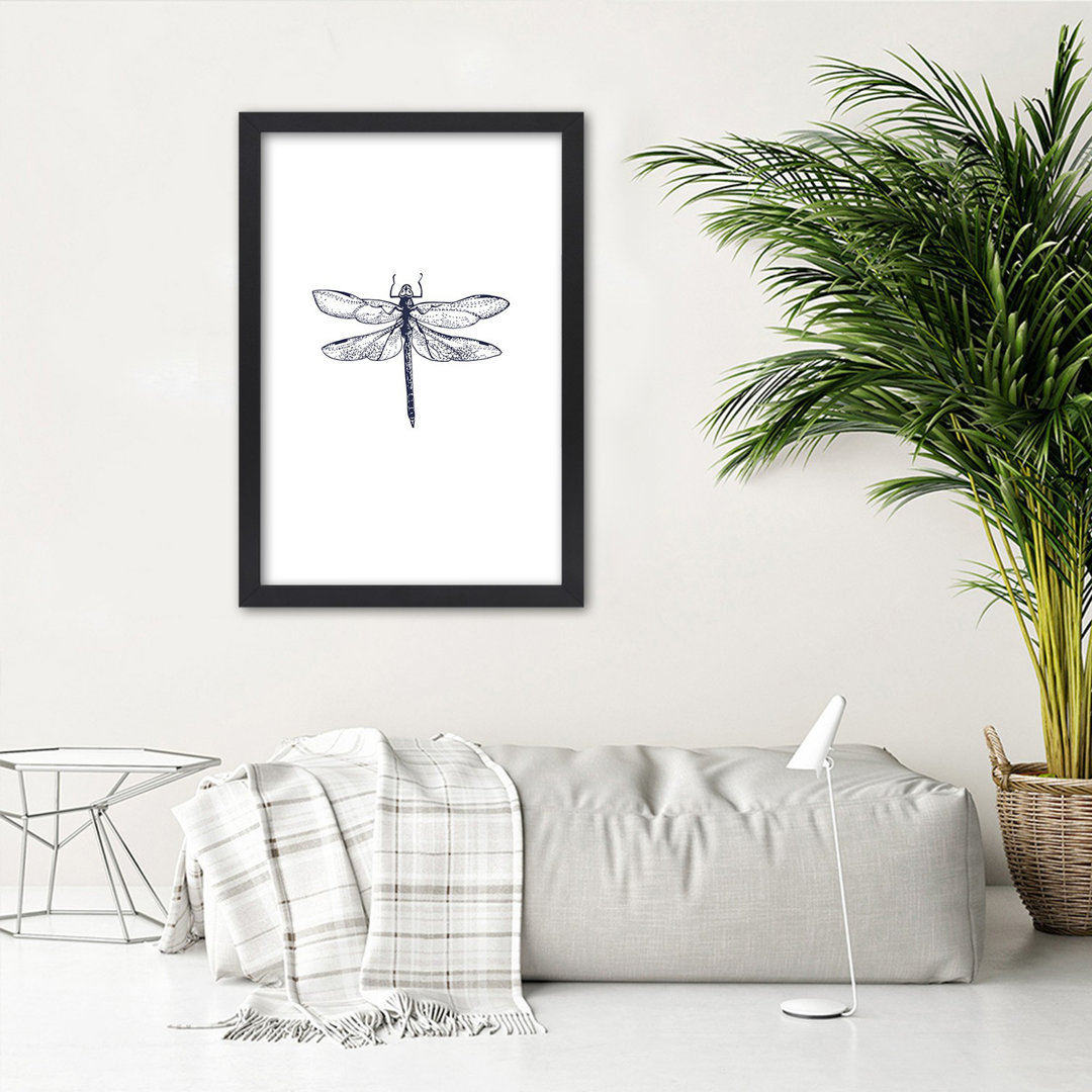 Gerahmtes Poster Dragonfly Drawn