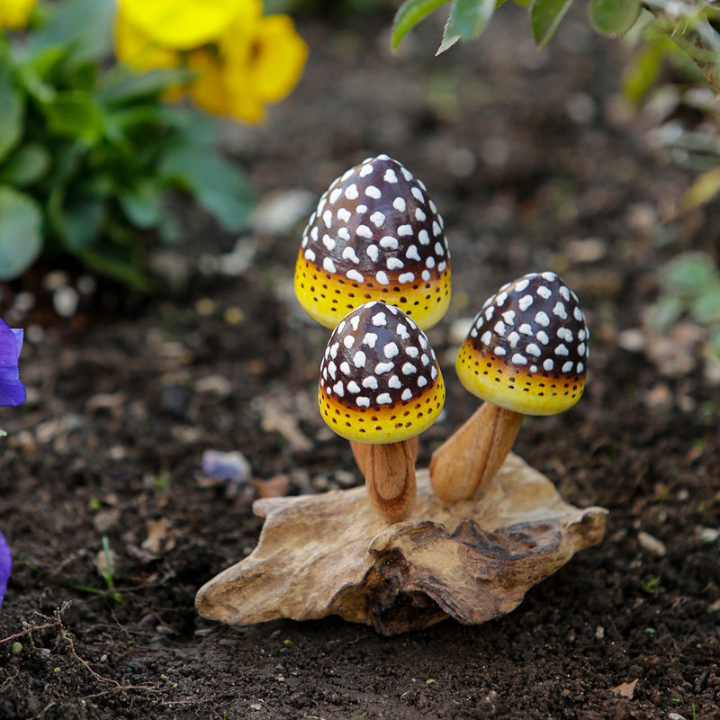 Parasite ananas champignon 3,5 x 4,5 x 6 po