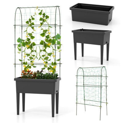 Carmenate 189 cm H x 76 cm W Gothic Trellis